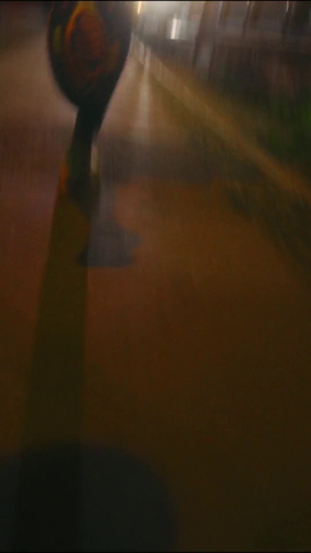 Video Reference: Road surface, Wood, Sports equipment, Asphalt, Automotive lighting, Tints and shades, Flooring, Hardwood, Ball, Grass