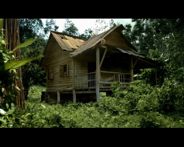 Video Reference: abandoned house, wooden cabin, forest, jungle, overgrown, vegetation, tin roof, rural, old building, nature, clearing, shack, dense foliage, weathered, remote
