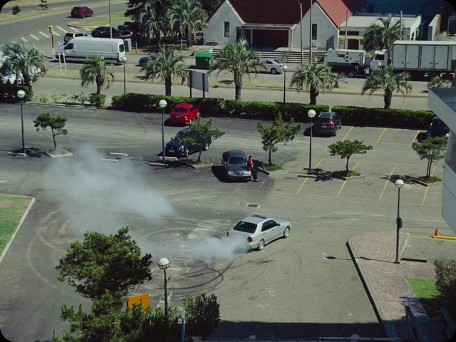 Video Reference: Car, Plant, Tire, Vehicle, Wheel, Motor vehicle, Tree, Road surface, Asphalt, Truck