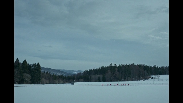 Video Reference: Sky, Cloud, Atmosphere, Natural landscape, Snow, Mountain, Slope, Tree, Highland, Glacial landform