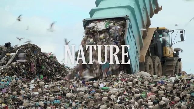 Video Reference: Sky, Vehicle, Pollution, Geological phenomenon, Gas, Automotive tire, Motor vehicle, Event, Waste, Truck