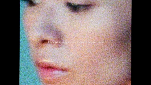 Video Reference: Nose, Cheek, Eyelash, Jaw, Ear, Iris, No expression, Rectangle, Eye shadow, Flesh