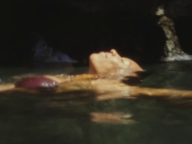 Video Reference: Water, Liquid, Wildlife, Water bird, Art, Natural landscape, Rock, Darkness, Still life, Still life photography