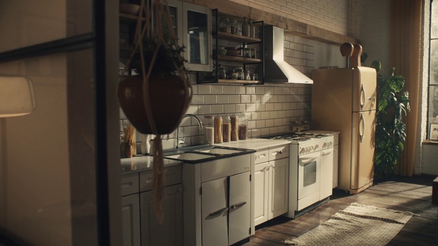 Video Reference: Cabinetry, Countertop, Kitchen, Kitchen stove, Wood, Building, Drawer, Plant, Grey, Floor