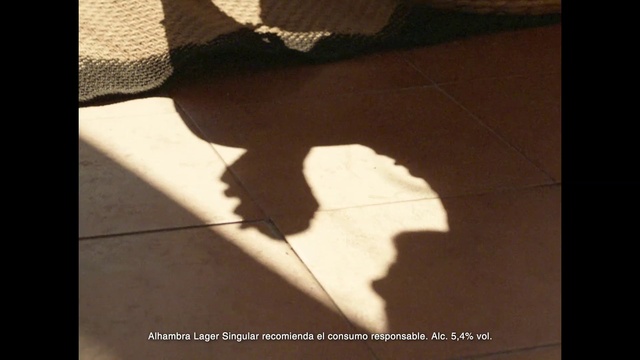 Video Reference: Wood, Rectangle, Plant, Flooring, Road surface, Tints and shades, Tree, Tail, Human leg, Wing