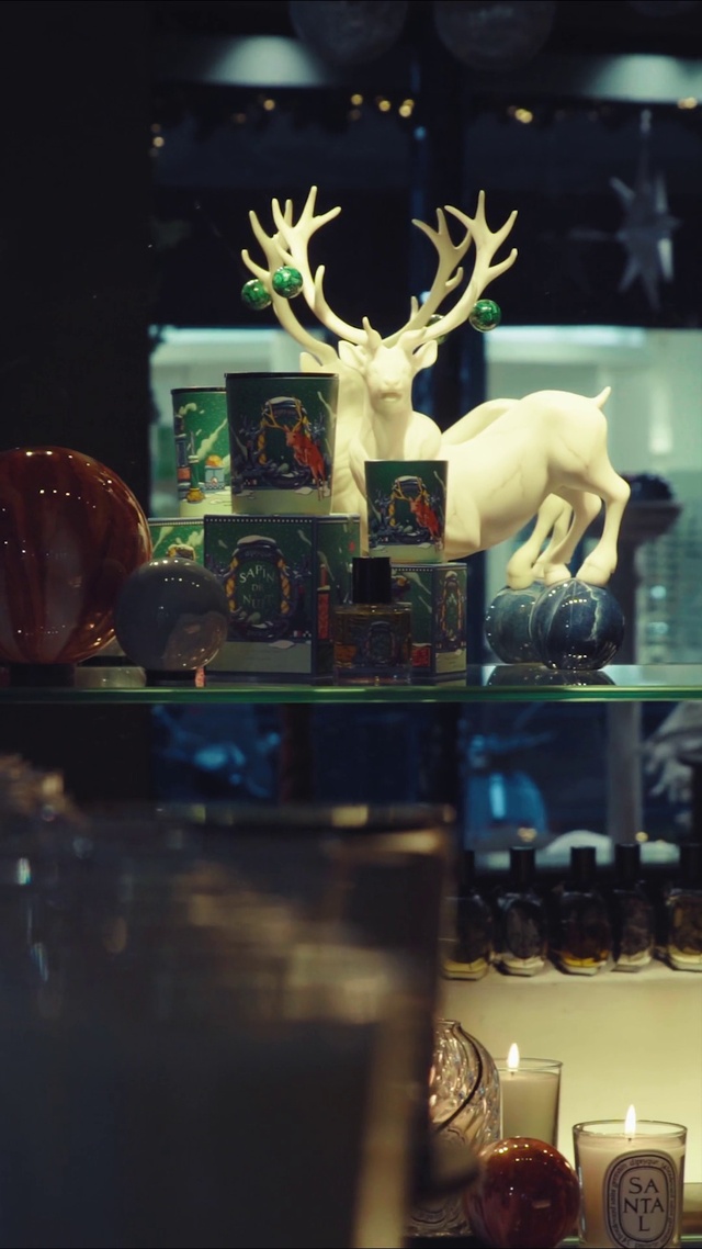 Video Reference: White, Black, Organism, Elk, Window, Deer, Fawn, Art, Natural material, Glass