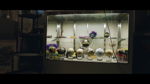 Video Reference: Eyewear, Display case, Flowerpot, Window, Glass, Necklace, Retail, Jewellery, Event, Houseplant