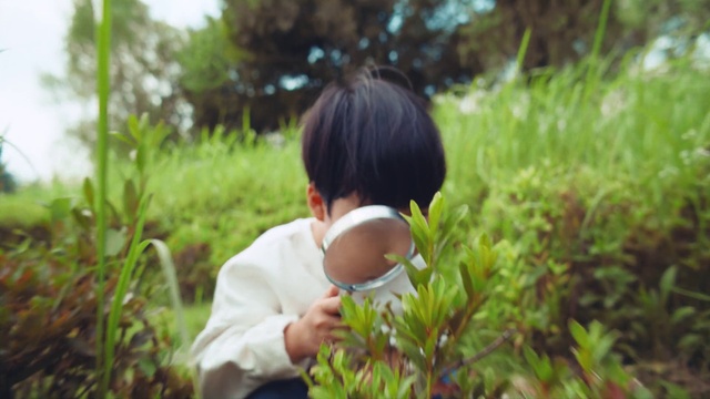 Video Reference: Plant, People in nature, Smile, Happy, Gesture, Terrestrial plant, Toddler, Grass, Leisure, Baby