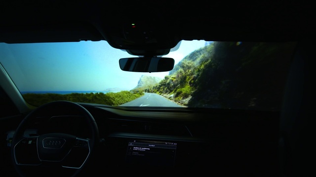 Video Reference: Car, Plant, Vehicle, Steering part, Automotive mirror, Sky, Motor vehicle, Automotive design, Steering wheel, Rear-view mirror