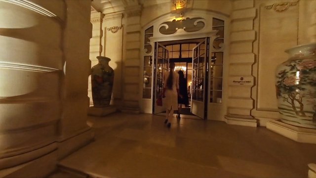 Video Reference: hotel, entrance, hallway, interior, luxury, ornate, columns, vases, double doors, warm lighting, walking, lobby, architecture, decorative, evening