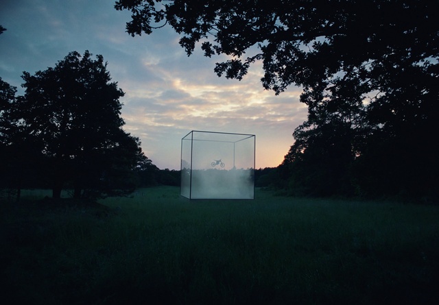 Video Reference: Cloud, Sky, Atmosphere, Plant, Natural landscape, Tree, Branch, Dusk, Grass, Landscape