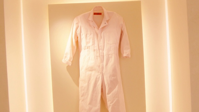 Video Reference: Clothing, Shoulder, Dress shirt, Neck, Sleeve, Collar, T-shirt, Fashion design, Blazer, Formal wear