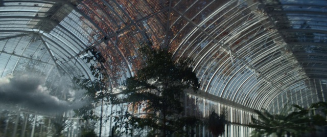 Video Reference: Plant, Building, Tree, Woody plant, Ceiling, Roof, Symmetry, Arecales, Pattern, City