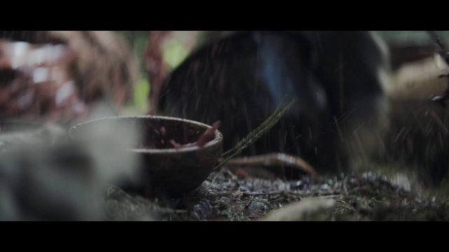 Video Reference: Liquid, Grass, Recipe, Cookware and bakeware, Darkness, Soil, Bowl, Cooking, Cuisine, Wood