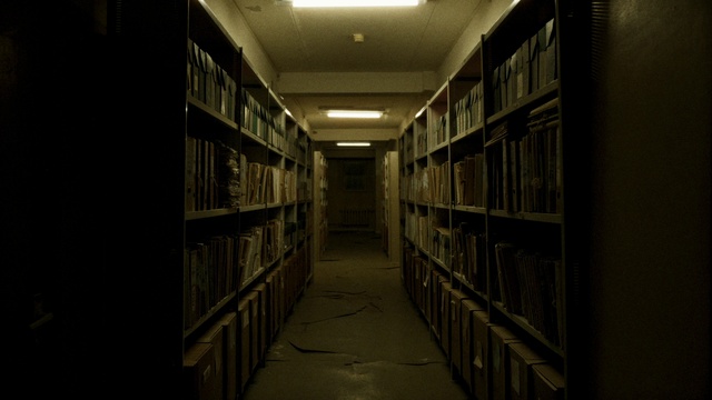 Video Reference: Bookcase, Shelf, Shelving, Publication, Fixture, Book, Retail, Symmetry, Ceiling, Room