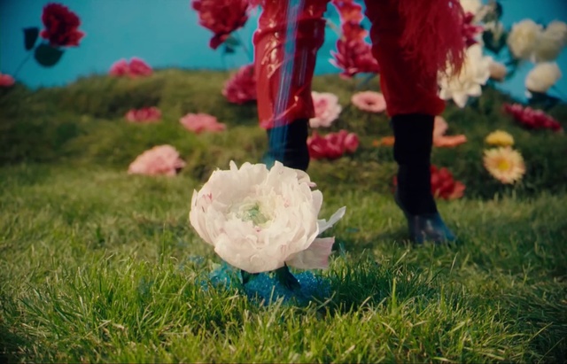 Video Reference: Flower, Plant, Petal, People in nature, Happy, Grass, Summer, Grassland, Meadow, Fun