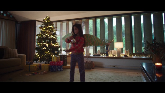 Video Reference: Christmas tree, Plant, Christmas ornament, Christmas decoration, Ornament, Holiday ornament, Event, Fun, Holiday, Christmas