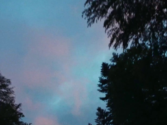 Video Reference: Sky, Cloud, Atmosphere, Tree, Atmospheric phenomenon, Natural landscape, Cumulus, Dusk, Tints and shades, Forest