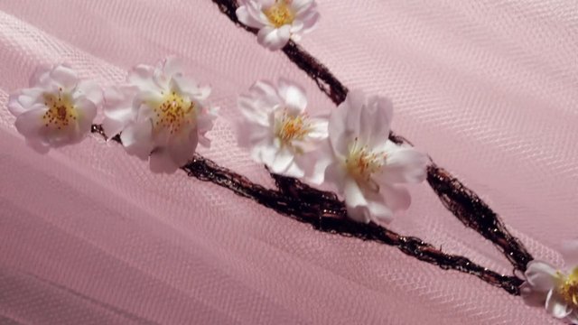 Video Reference: flowers, blossom, white petals, pink background, close-up, floral, fabric, textured surface, decorative, spring, macro, nature, ornamental, branch