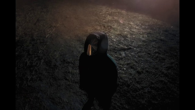 Video Reference: Atmosphere, Bird, Beak, Flash photography, Road surface, Grey, Atmospheric phenomenon, Asphalt, Tints and shades, Feather