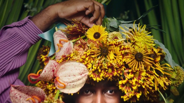 Video Reference: Flower, Plant, Green, Orange, Yellow, Petal, Flower Arranging, Hat, Flowering plant, Annual plant