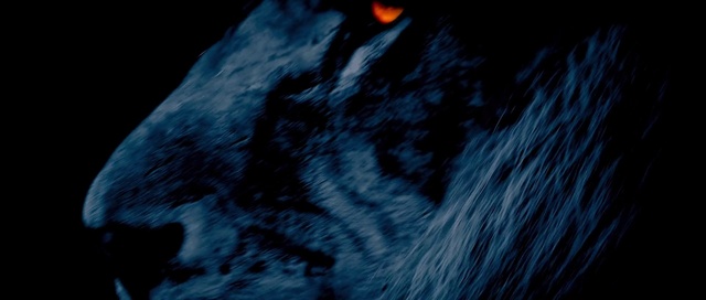 Video Reference: Sky, Astronomical object, Tree, Electric blue, Pattern, Midnight, Cloud, Space, Event, Darkness