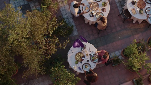 Video Reference: Plant, Flowerpot, Houseplant, Tableware, Grass, Leisure, Landscape, Fun, House, Event