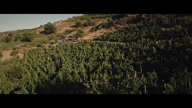 Video Reference: Plant, Natural landscape, Land lot, Grass, Agriculture, Grassland, Sky, Slope, Shrub, Rectangle