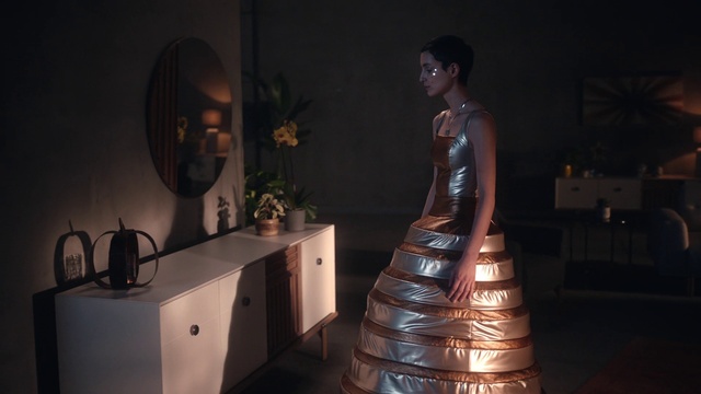 Video Reference: Flash photography, Plant, Houseplant, Fashion design, Sculpture, Darkness, Formal wear, Event, Statue, Art