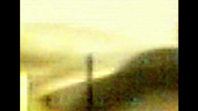 Video Reference: Rectangle, Art, Tints and shades, Horizon, Landscape, Font, Paint, Visual arts, Painting, Grass