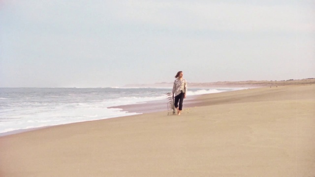 Video Reference: Water, Sky, People on beach, Beach, Gesture, Travel, Horizon, Landscape, Wind wave, Singing sand