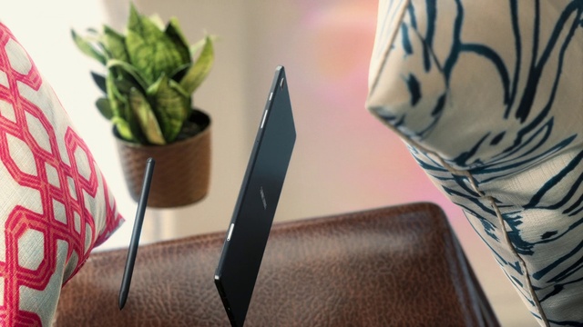 Video Reference: Plant, Table, Houseplant, Flowerpot, Textile, Sleeve, Wood, Desk, Rectangle, Flooring