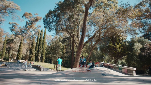 Video Reference: Sky, Plant, Road surface, Branch, Tree, Asphalt, Leisure, Sidewalk, Thoroughfare, Landscape