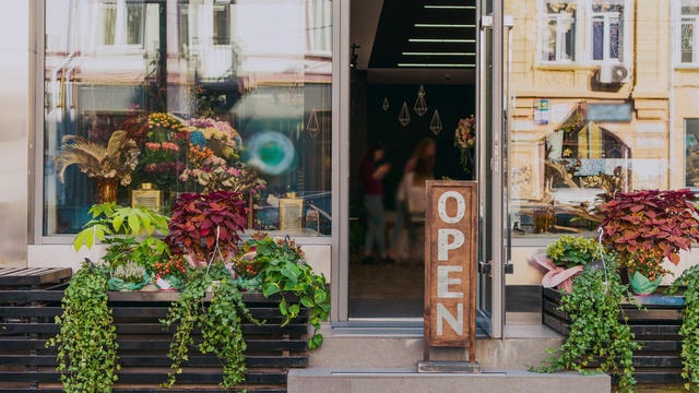 Video Reference: Plant, Property, Flowerpot, Building, Orange, Lighting, Architecture, Flower, Window, Neighbourhood