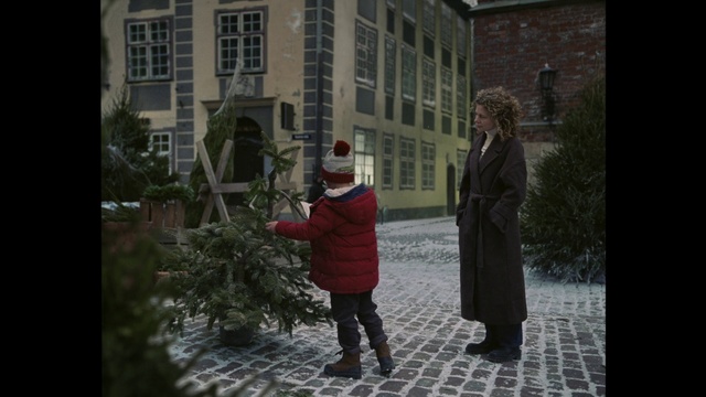 Video Reference: Window, Building, Plant, Gesture, Architecture, Road surface, City, Freezing, Urban area, Tree