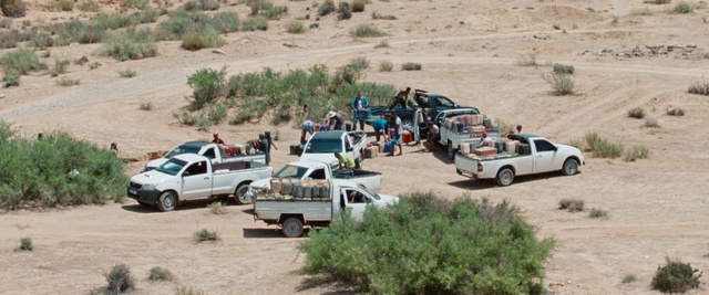 Video Reference: Wheel, Tire, Car, Land vehicle, Plant, Vehicle, Motor vehicle, Plant community, Ecoregion, Mode of transport