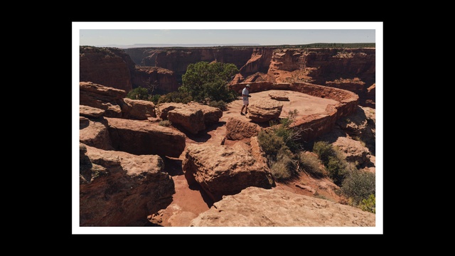 Video Reference: Plant community, Ecoregion, Plant, Natural landscape, Bedrock, Mountain, Landscape, Formation, Outcrop, Tree