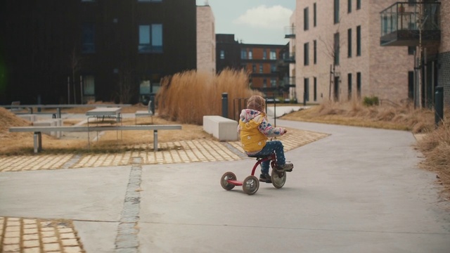 Video Reference: Tire, Wheel, Window, Road surface, Building, Asphalt, Rolling, Plant, Floor, Tree
