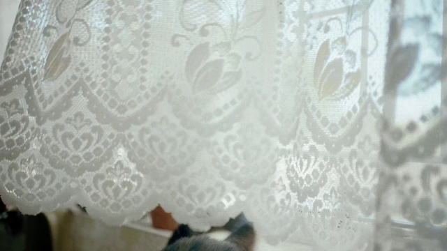 Video Reference: Brown, Tablecloth, Wood, Grey, Embellishment, Creative arts, Flooring, Motif, Linens, Pattern