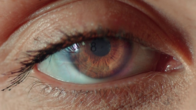 Video Reference: Brown, Head, Eye, Eyelash, Organ, Human body, Makeover, Iris, Vision care, Nerve