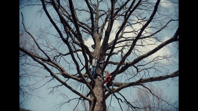 Video Reference: Sky, Cloud, Wood, Twig, Tree, Trunk, World, Natural landscape, Woody plant, Tints and shades