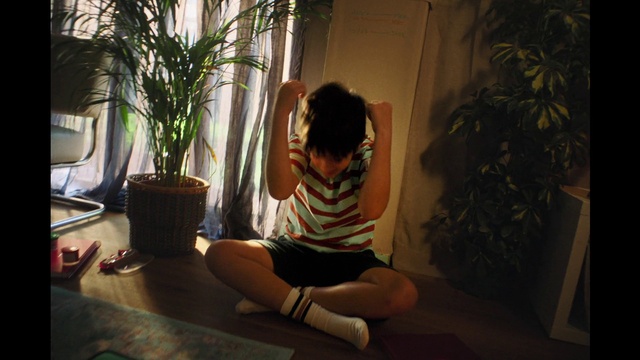 Video Reference: Plant, Houseplant, Flowerpot, Comfort, Wood, Shorts, Knee, Thigh, Flooring, Arecales