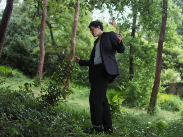 Video Reference: Plant, People in nature, Tree, Terrestrial plant, Natural landscape, Wood, Trunk, Grass, Landscape, Forest