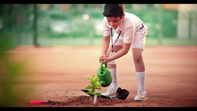 Video Reference: Sports equipment, People in nature, Flash photography, Grass, Shorts, Ball, Happy, Flooring, Sneakers, Leisure