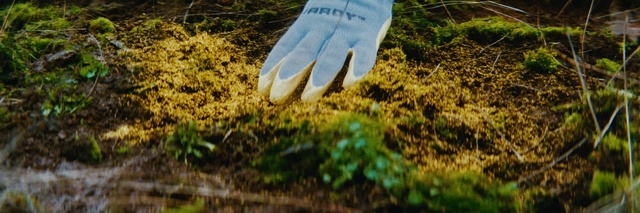 Video Reference: Footwear, Plant, Glove, Leg, Green, People in nature, Dress, Leaf, Human body, Wood