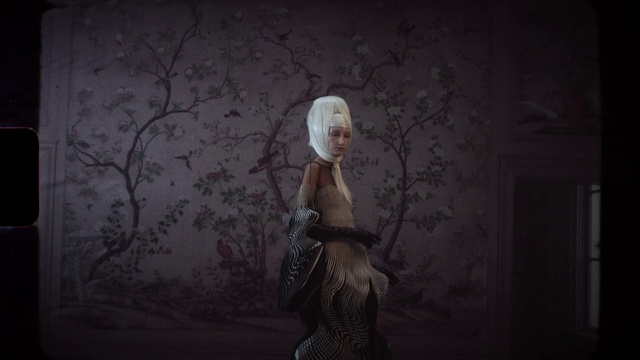 Video Reference: Flash photography, Grey, Art, Cg artwork, Darkness, Headpiece, Midnight, Grass, Forest, Fictional character