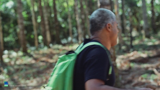 Video Reference: People in nature, Natural landscape, Terrestrial plant, Plant, Luggage and bags, Tree, Backpack, Recreation, Bag, Leisure