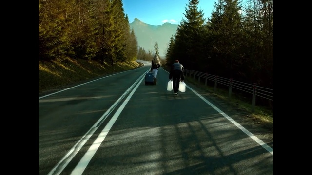 Video Reference: Sky, Plant, Road surface, Tree, Natural landscape, Asphalt, People in nature, Gesture, Thoroughfare, Mode of transport