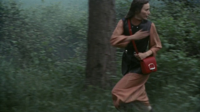 Video Reference: People in nature, Shorts, Plant, Grass, Vest, Bag, Luggage and bags, Forest, Recreation, Personal protective equipment