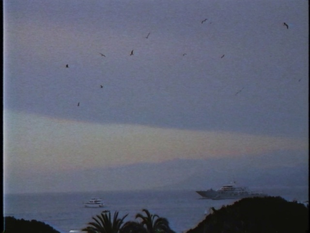Video Reference: Sky, Atmosphere, Bird, Water, Ecoregion, Cloud, Atmospheric phenomenon, Dusk, Tints and shades, Horizon